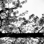 ＝佐藤太の監督雑記＝