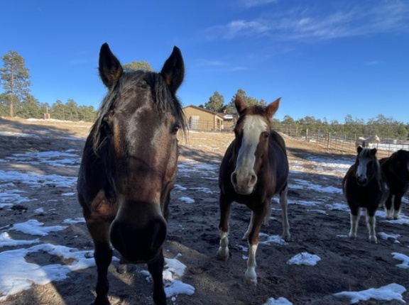 義兄が救急車で