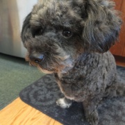 首の骨を折って 身体障害者になって