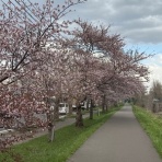チーム森田の“天気で斬る！”
