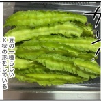 カイエのまにまに自由帳（旧 蓼食う虫もテキサス）