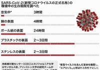 右脳派 それとも左脳派 千一夜すもつくれん話