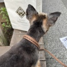 夫婦と王子でお出かけした先には…♪