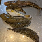 jf3iywのblog