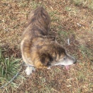 まだ作業はできませんが