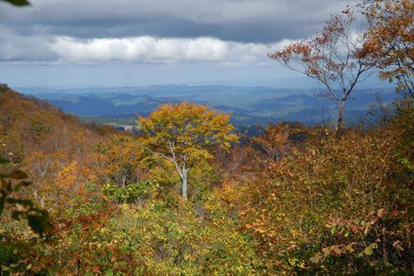 日本の原風景 - 2006年10月
