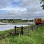 市原市議会議員　大曽根友三～トモゾウ～のBlog