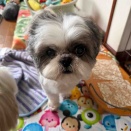 今日は　なっちゃんも