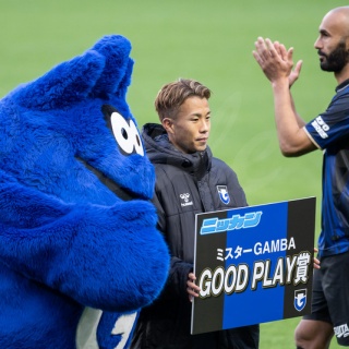 Tedious diary more x4