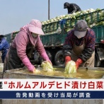 【白菜騒動】日本政府、中国から輸入される野菜の検査でホルムアルデヒドを検査していないことが判明