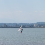 surfandwindstyle