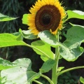 �¤�ޤ�Ƭ�Ͽ��̤Ҥޤ���