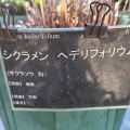 現在の状況261003