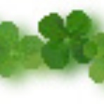 ココロとカラダをぴかぴかに磨くダイエット-過去の自分と脂肪を手放す方法-