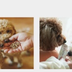 IPOストライカーの投資ブログ2（IPO PO 株主優待 FX）