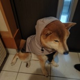 『すず🐾カッパ〜5/2(金) 19:00現在のGW特別レッスンお申し込み状況🎾』の画像