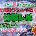 シロクマ君の好きなこと