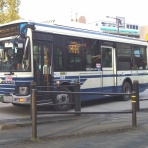 かわうそ、だもんで。