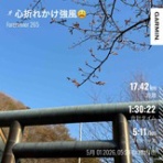 ぱっぽとにゃんの仲良しブログ♡♡♡