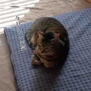 薬を飲み忘れた時どうする？と、ピンクのリング作りました。