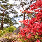 ガールズにちゃんまとめ