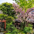 組織の成長の芽は、そこで働く人達そのもの