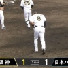 【練習試合vs阪神】日ハム、先制した直後に先発の西村が糸原にタイムリーを浴びて同点に追いつかれる