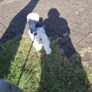 黄色い葉っぱがお尻に(￣▽￣;)