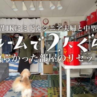 ていない（ていねいじゃない暮らしのブログ）