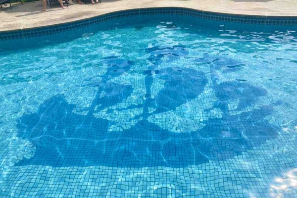 噂のdヲタくんのディズニーレポート プール