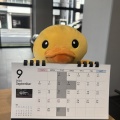 9月定休日🍀
