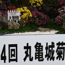 第54回丸亀城菊花展