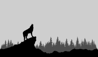 絶滅したニホンオオカミの頭骨、民家で発見される!魔除のためか