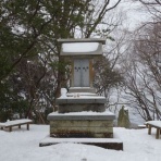 らいおんはーと