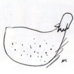 Kumaza Blaza