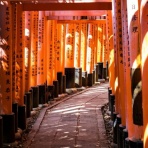 純粋スキゾ批判：Critique of Pure Schizo / kay shixima blog