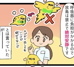 【ド元気】カチョさん、安静にして━━