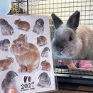プレゼントのご紹介！！