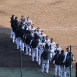 『阪神ファンだから何だ、というのだ』の画像