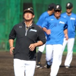 『野球選手中田翔を評価した次第　下』の画像