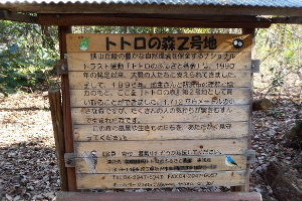 雑木の林 トトロの森2号地 狭山丘陵いきものふれあいの里 所沢市 16年2月 関東ご近所ネイチャースポット訪問記