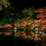 【画像】京都の紅葉撮って来たよー