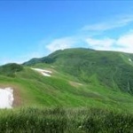 Wikipedia「300円の寄付をお願いします。コーヒーの値段と同程度です」←これ