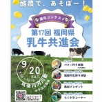 愛しの牛乳パック