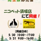 【爬虫類即売会】ニコペット須坂店