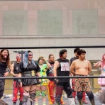 プロレスGOサイン-平成プロレスラーのサイン回想記‐