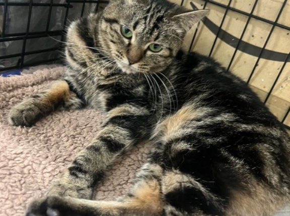 今夜もクリニックでは、