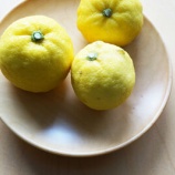 『湯布院「亀の井別荘」の20年前の思い出が蘇る木の皿』の画像