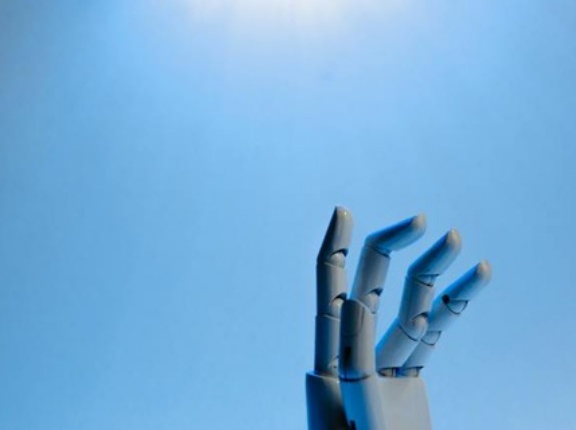 驚異の耐熱性をもつ「新種アメーバ」を発見、真核生物では史上最強