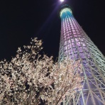 キングモーモンの日記